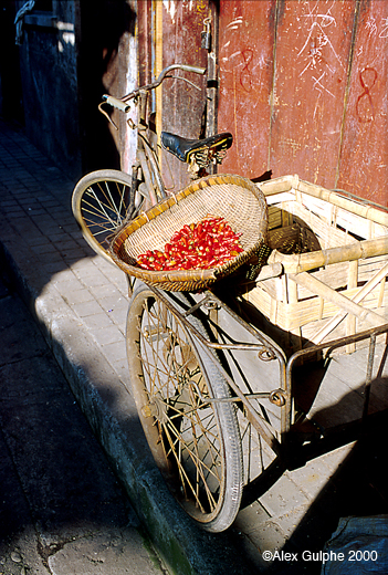 Photographie Couleur - Verticale - Panier de piments rouges sur un tricycle