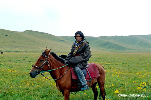 Photographie Couleur - Horizontale - Jeune cavalier tibétain sur fond de prairies
