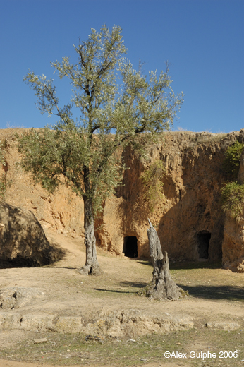 Photographie Couleur - Verticale - Grottes dans la nécropole mérinide