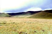 Photographie - Paysage de prairies sur les hauts plateaux