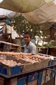Photographie - Jeune garçon vendant des œufs