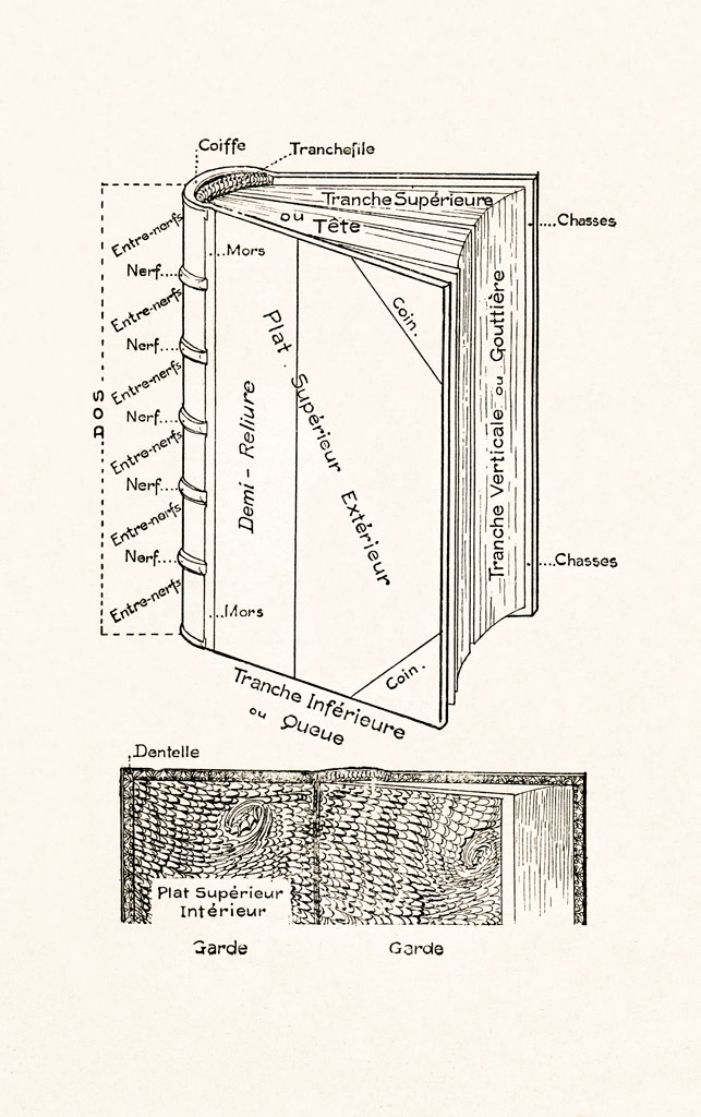 L’anatomie du livre.